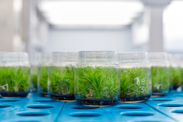 Neiker Tecnalia, Arkaute, Araba, Basque Country, Spain