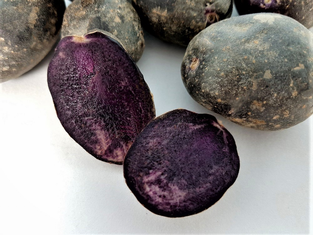 Patata Beltza NEIKER