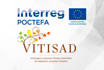 VITISAD project, led by NEIKER, receives the 'EuropaSeSiente' award for its  viticultural practices against climate change - Neiker