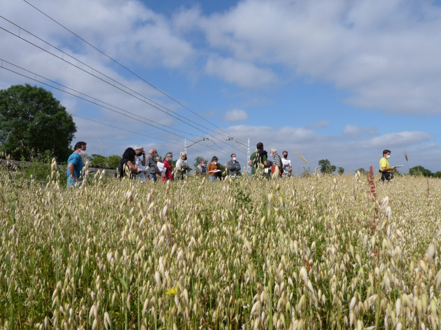 Visita a las parcelas de ecologico 3