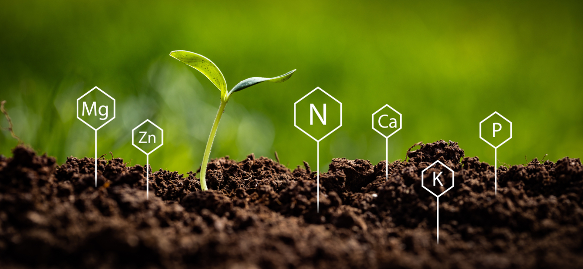 Representing soil chemistry with symbols of Nitrogen, Potassium,
