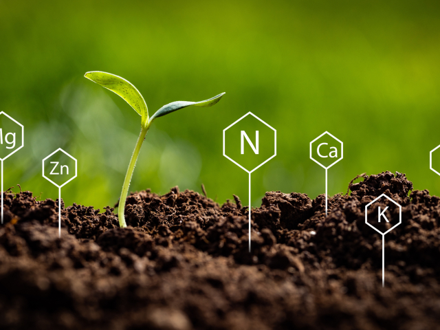 Representing soil chemistry with symbols of Nitrogen, Potassium,