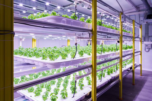 Indoor_vertical_farming_NEIKER_1