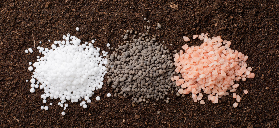 Chemical fertilizers isolated on white background.