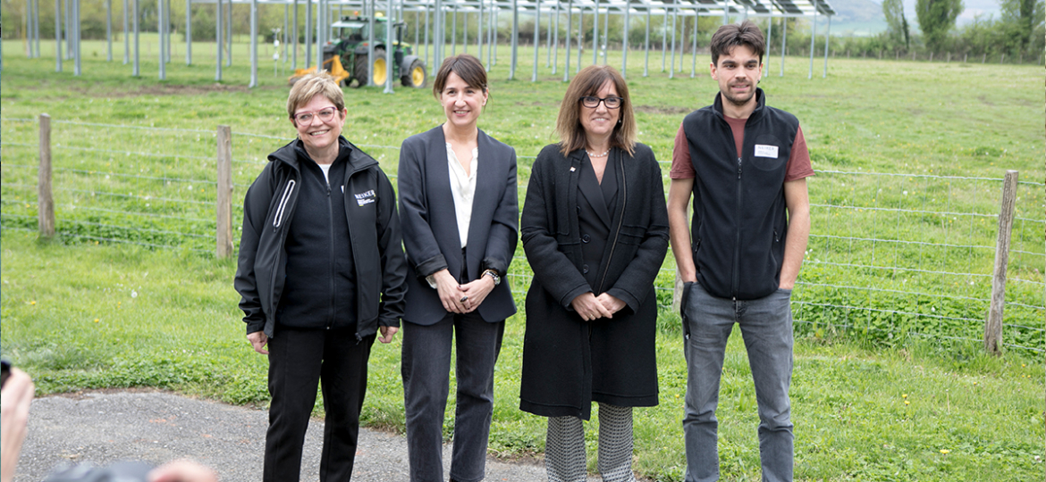 agrovoltaica-neiker