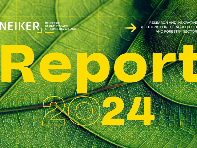 Portada MemoriaNeiker2024_INGL_DEF