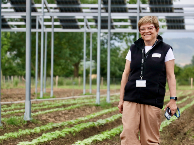 Amaia Ortiz Unidad Agrovoltaica 01