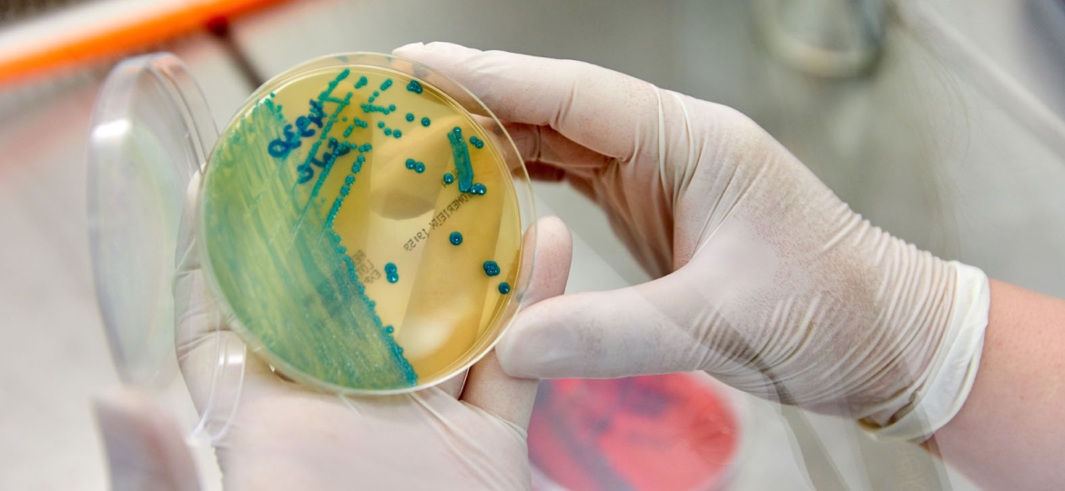 Neiker Tecnalia, Derio, Bizkaia, Basque Country, Spain