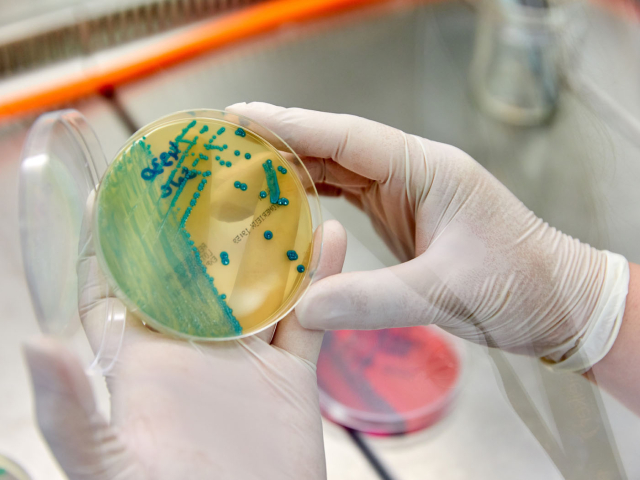 Neiker Tecnalia, Derio, Bizkaia, Basque Country, Spain