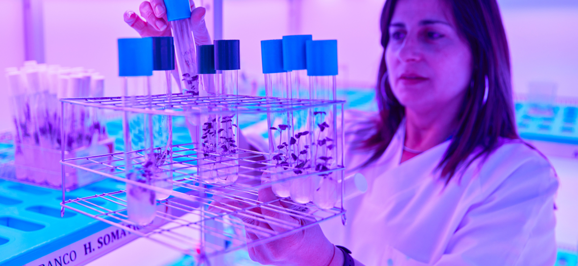 Neiker Tecnalia, Arkaute, Araba, Basque Country, Spain