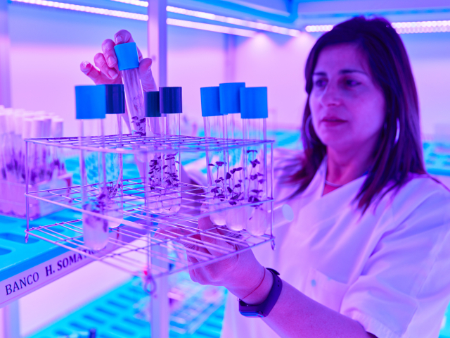 Neiker Tecnalia, Arkaute, Araba, Basque Country, Spain