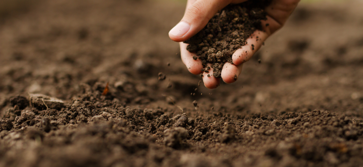 Expert hand of farmer checking soil health before growth a seed