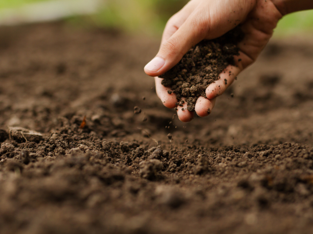 Expert hand of farmer checking soil health before growth a seed