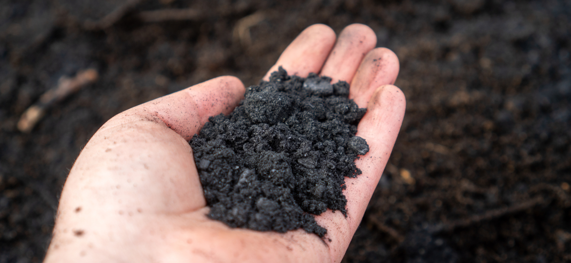 Nahaufnahme von Pflanzenkohle (Biochar) zur Bodenverbesserung im Garten und in der Landwirtschaft