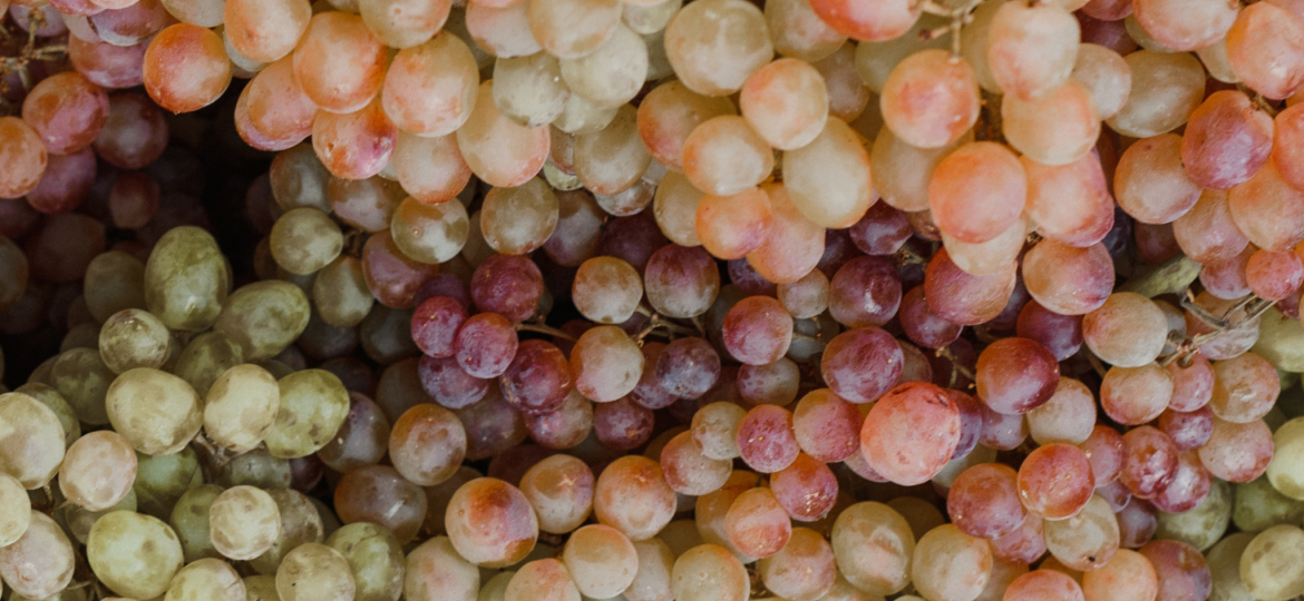 Noticia_newfeed_NEIKER-2048x1367