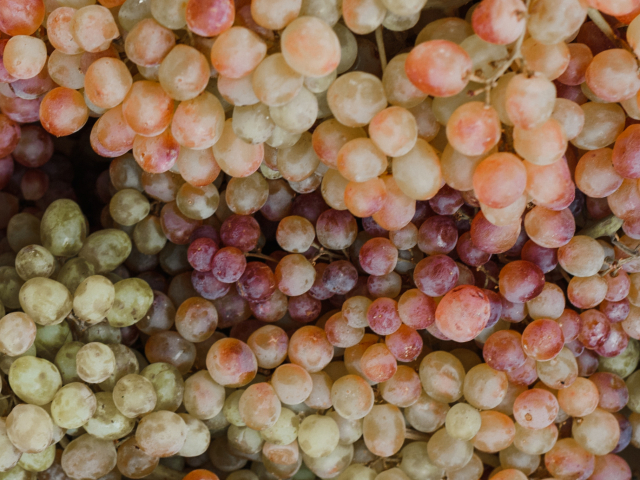 Noticia_newfeed_NEIKER-2048x1367