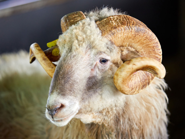 Neiker Tecnalia, Arkaute, Araba, Basque Country, Spain