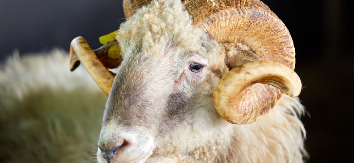 Neiker Tecnalia, Arkaute, Araba, Basque Country, Spain