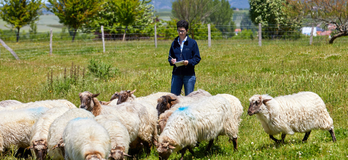 NEIKER_Arcaute_Ina Beltrán de Heredia 1 copia
