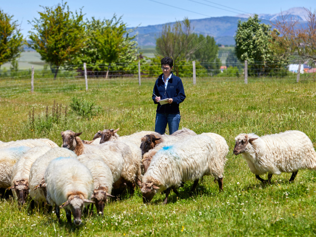 NEIKER_Arcaute_Ina Beltrán de Heredia 1 copia