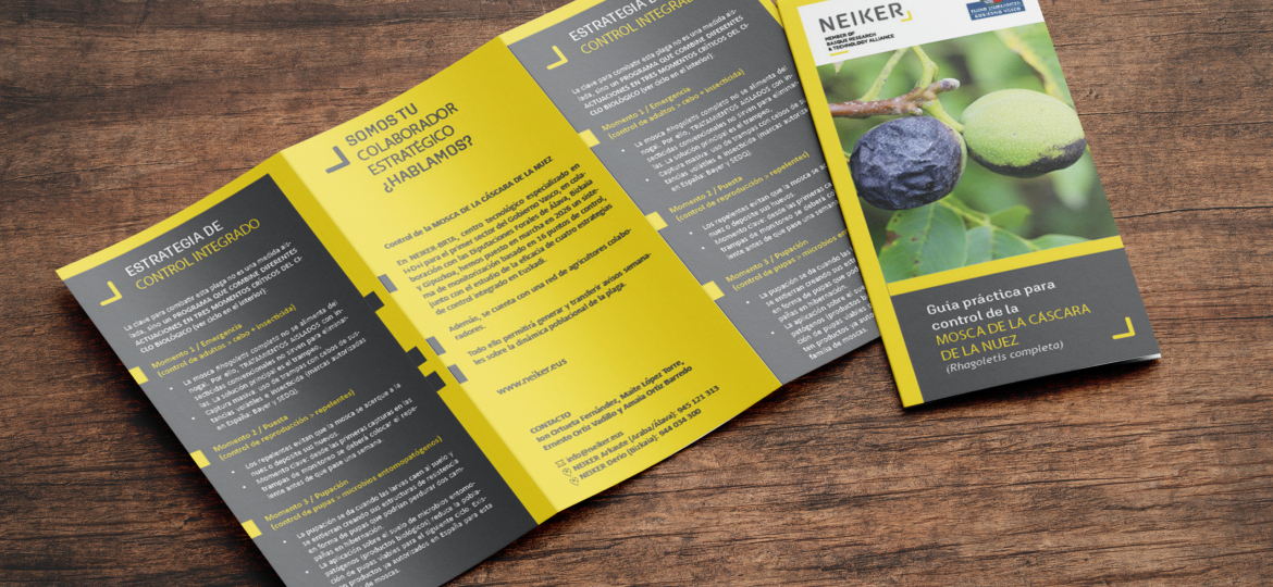 Mockup Rhagoletis completa
