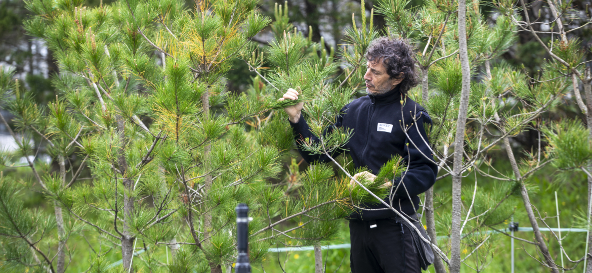5. NEIKER_forestal