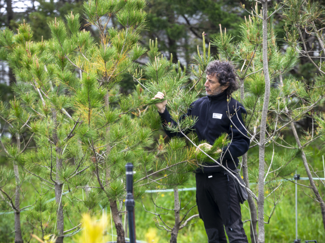 5. NEIKER_forestal